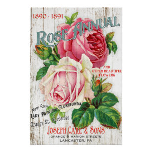 Affiche rose de catalogue de graine de style