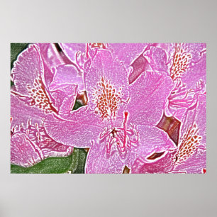 Affiche rose de fleur de rhododendron