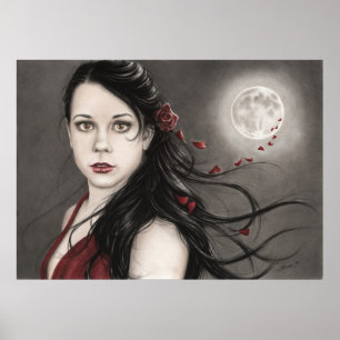 Affiche rose de minuit