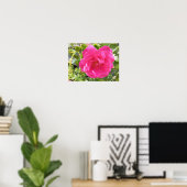 Affiche Rose Rose (Bureau à domicile)