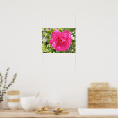 Affiche Rose Rose (Cuisine)