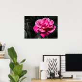 Affiche Rose Rose Élégance (Bureau à domicile)