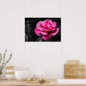 Affiche Rose Rose Élégance (Cuisine)