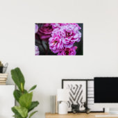 Affiche Roses Roses Douces  (Bureau à domicile)