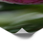 Affiche Roses Roses - Duo Épanoui (Coin)