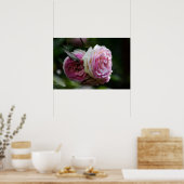 Affiche Roses Roses - Duo Épanoui (Cuisine)