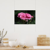 Affiche Roses Roses Photographie (Cuisine)