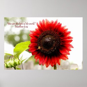 Affiche rouge de tournesol avec le vers de bible