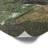 affiche sasquatch (Coin)