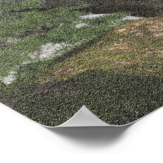 affiche sasquatch (Coin)