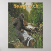affiche sasquatch (Devant)