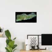 Affiche satellite des îles Vierges américaines de  (Bureau à domicile)