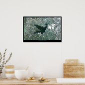 Affiche satellite du lac Arrowhead, Californie (Cuisine)