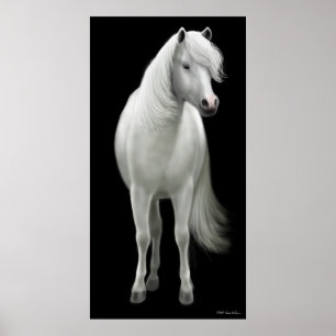 Affiche sauvage de cheval blanc