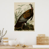 Affiche sauvage Turquie_Audubon_Poster (Cuisine)