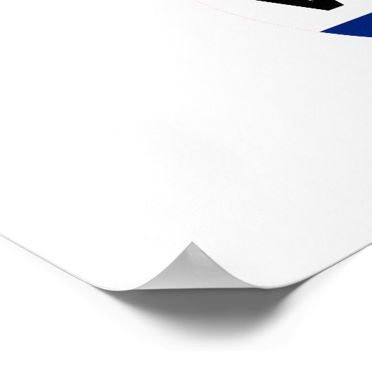 Affiche Save Democracy (Coin)