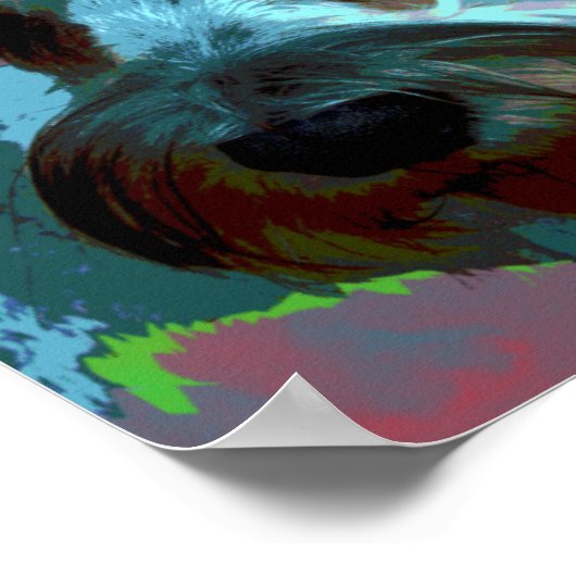 Affiche Schnauzer (Coin)