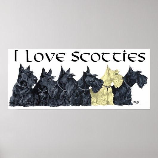 Affiche Scottish Terrier (Devant)