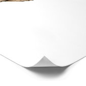 Affiche Sea Glass Eye (Coin)