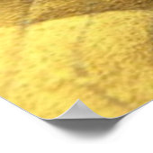Affiche Sea Shells (Coin)