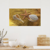Affiche Sea Shells (Cuisine)