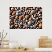 Affiche Sea Shells (Cuisine)