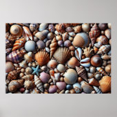 Affiche Sea Shells (Devant)