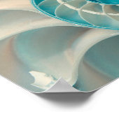 Affiche - Séquence de Fibonacci dans la vie marine (Coin)