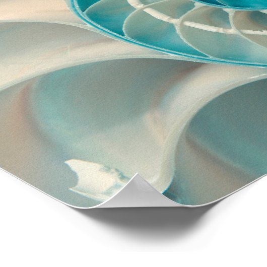 Affiche - Séquence de Fibonacci dans la vie marine (Coin)