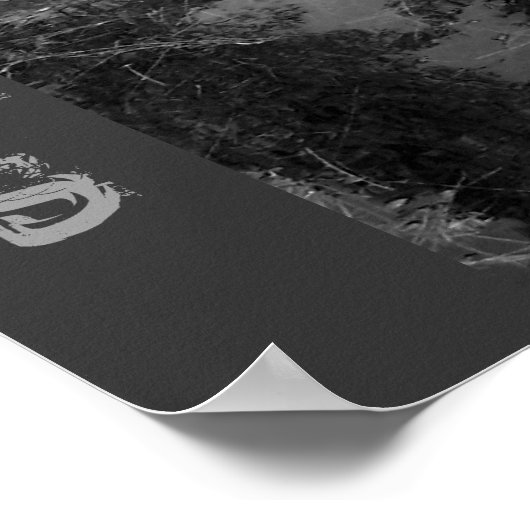 Affiche SHADOWS (Coin)