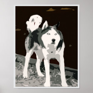 Affiche sibérienne husky