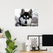 Affiche Sibérienne Husky Puppy (Bureau à domicile)