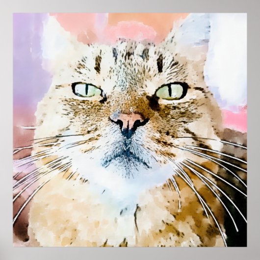 Affiche Simba le chat tigré (Devant)