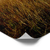 Affiche Skys of Flint Hills (Coin)