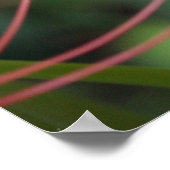 Affiche Spider Lily (Coin)