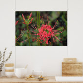 Affiche Spider Lily (Cuisine)