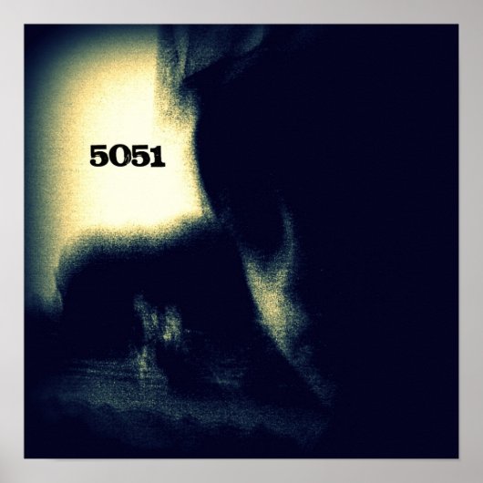 Affiche SPIDERintheHALL 5051 (Devant)