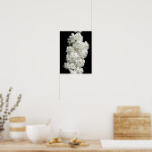 Affiche Spirea Arguta (Cuisine)
