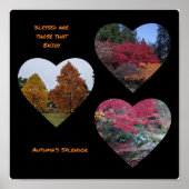 Affiche Splendor d'automne (Devant)