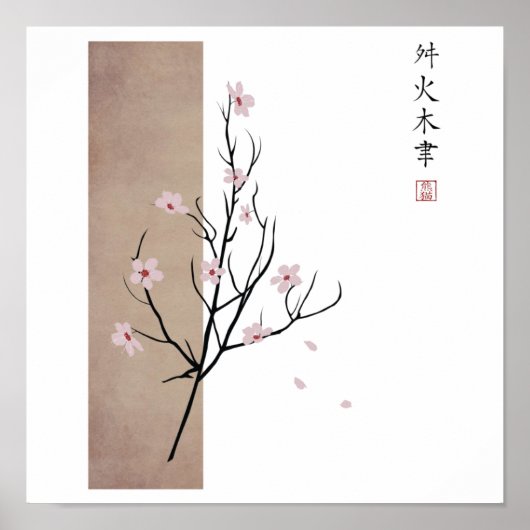 Affiche SpringTime (Devant)