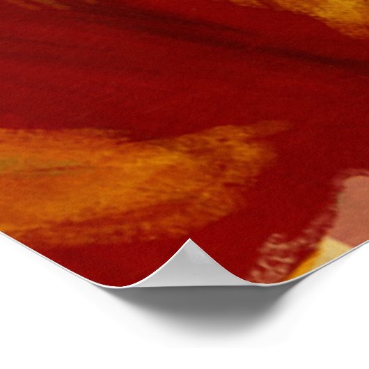 affiche st-apple (Coin)