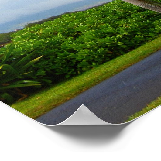 Affiche "Standing Tall" (Coin)