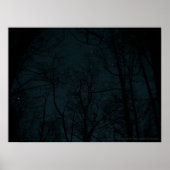 Affiche Starry Night Trees (Devant)