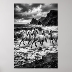 Affiche Stormbound Lipizzaner Dreamscape