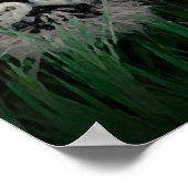 Affiche Sumatran Tiger Eyes (Coin)