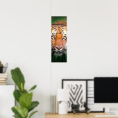 Affiche Sumatran Tiger Eyes (Bureau à domicile)