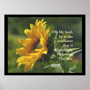 Affiche SunFlower