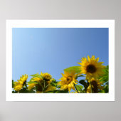 Affiche Sunflowers & Sunshine (Devant)