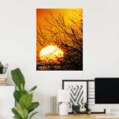 Affiche Sunset Delights (Bureau à domicile)