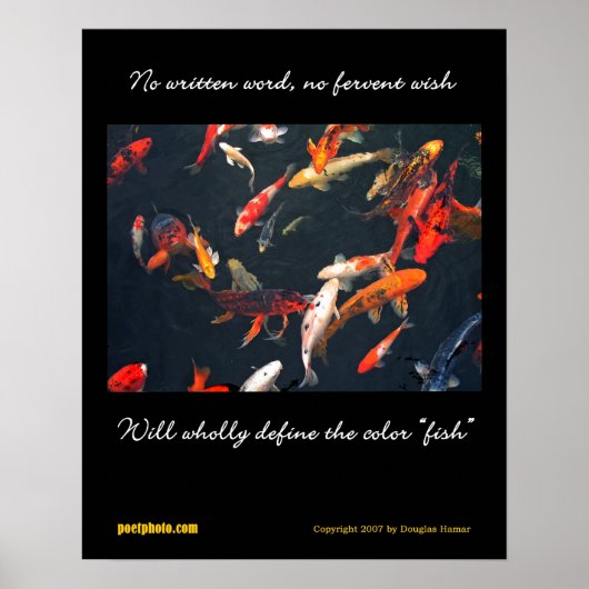 Affiche sur la diversité (Devant)